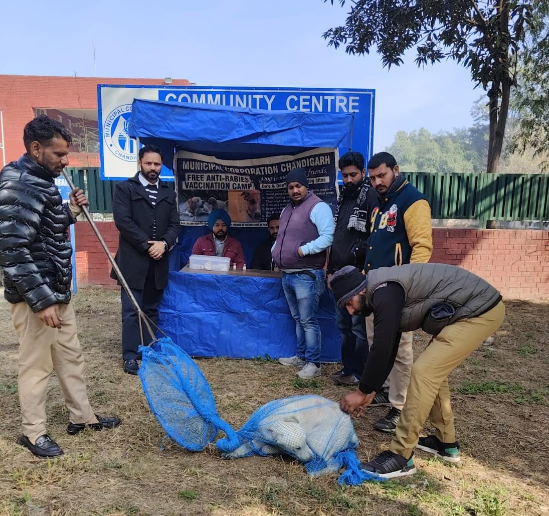 Anti-rabies vaccination campaign was conducted in ward number 24